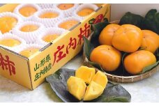 治郎左エ門の庄内柿（1箱約3kg）※ギフト　贈り物にもおすすめ　※10月中下旬から順次配送