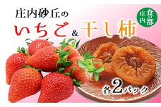 食の都庄内　庄内砂丘のいちご＆干し柿【各2パック】※1月中旬頃～順次配送