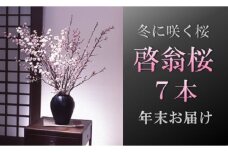 食の都庄内　【年末お届け】啓翁桜（7本束）