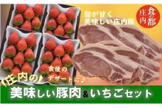 食の都庄内　庄内の美味しい豚肉＆いちごセット※1月中旬頃より順次配送（金曜日発送）