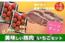 食の都庄内　庄内の美味しい豚肉＆いちごハーフセット※1月中旬頃より順次配送（金曜日発送）