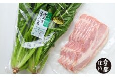 食の都庄内　庄内の御立派ほうれん草＆庄内豚ベーコン※令和8年1月より順次配送