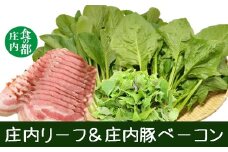 食の都庄内　庄内リーフ＆庄内豚ベーコン※令和8年1月より順次配送