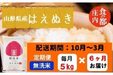 【10月～3月発送】無洗米山形県産はえぬき5kg×6回【定期便6回】