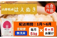 【1月～6月発送】無洗米山形県産はえぬき5kg×6回【定期便6回】