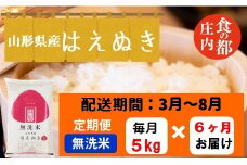 【3月～8月発送】無洗米山形県産はえぬき5kg×6回【定期便6回】