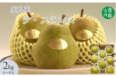 食の都庄内　庄内の洋梨「ラ・フランス」約2kg　※11月上旬～発送