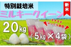 【令和7年産・精米】米蔵いいの特別栽培米ミルキークイーン20kg（5kg×4袋）