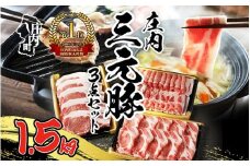 ブランド豚「庄内三元豚」3点セット（計1.5kg）