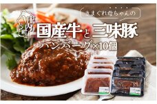 きまぐれ母ちゃんの国産牛と三味豚ハンバーグ（10個）