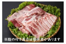 山形県庄内SPF豚 最上川ポークバラブロック 4kg（2kg×2）国産  豚肉 冷蔵便
