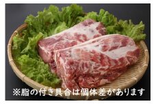山形県庄内SPF豚 最上川ポーク肩ロースブロック 4kg（2kg×2） 国産 豚肉 冷蔵便