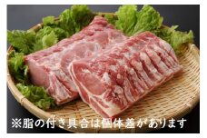 山形県庄内SPF豚 最上川ポークロースブロック 4kg（2kg×2）国産 豚肉 冷蔵便