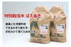 石垣農園の特別栽培米はえぬき10kg 令和6年産 2024年産 ブランド米 山形県 庄内町産