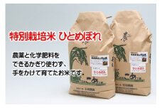 石垣農園の特別栽培米ひとめぼれ10kg
