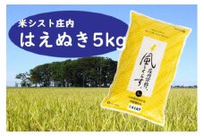 米シスト庄内 庄内平野、風と暮らす はえぬき 5kg 特別栽培米 ブランド米