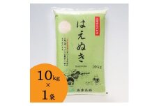 JAあまるめ 山形県庄内町産 はえぬき10kg×1袋