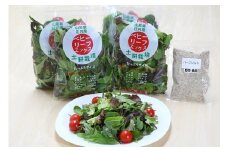 土耕栽培のベビーリーフミックス 10種(70g×4袋) と野菜用ハーブ塩セット