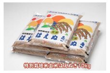 特別栽培米玄米はえぬき 10kg 2kg×5袋 コシヒカリの原点、亀の尾発祥の地 庄内 ブランド米 玄米 令和6年産 2024年産【1048-019A】