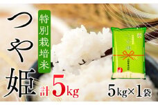 ブランド米 つや姫 5kg コシヒカリの原点、亀の尾発祥の地 庄内 令和6年産 2024年産【1057-011A】