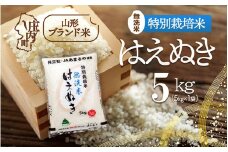 庄内町産 特別栽培米はえぬき無洗米 5kg 令和7年産 2025年産 ブランド米 コシヒカリの原点、亀の尾発祥の地 庄内