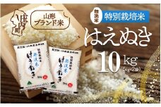 庄内町産 特別栽培米はえぬき無洗米 10kg 5kg×2袋 令和7年産 2025年産 ブランド米 コシヒカリの原点、亀の尾発祥の地 庄内