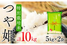 ブランド米 つや姫 10kg 5kg×2袋 コシヒカリの原点、亀の尾発祥の地 庄内 令和6年産 2024年産【1059-021A】
