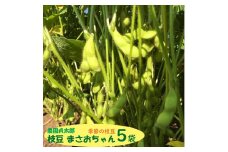 【7月下旬より順次発送】農園貞太郎 枝豆まさおちゃん 5袋（入金期限：2026.7.10）