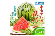 【7月下旬より順次発送】農園貞太郎 小玉スイカ ルパン 3～4玉（入金期限：2025.7.20）