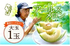 【8月より順次発送】アールスメロン 大玉1玉（入金期限：2026.7.20）