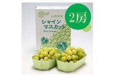 【9月中旬より順次発送 】庄内町産シャインマスカット 2房（入金期限：2025.8.31）