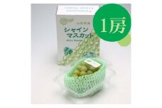 【9月中旬より順次発送】庄内町産シャインマスカット 1房（入金期限：2025.8.31）