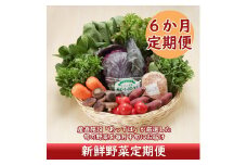 ＜10月中旬発送＞新鮮野菜 6か月定期便！産直施設「あっでば」直送（入金期限：2025.9.25）