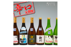 ＜10月中旬発送＞庄内の地酒 辛口の日本酒 3か月定期便 鯉川酒造蔵元おすすめセット（入金期限：2025.9.25）
