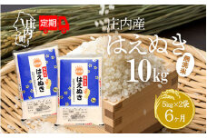 ＜10月中旬発送＞庄内米6か月定期便！はえぬき無洗米 10kg（入金期限：2025.9.25）
