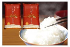 はえぬき 10kg 5kg×2袋 コシヒカリの原点、亀の尾発祥の地 庄内 令和6年産 2024年産 ブランド米 【1051-014A】