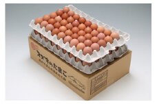 スズキのたまご　地養卵　MS～L　約5kg（80～90個）