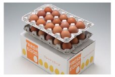 スズキのたまご　地養卵　MS～L　30個