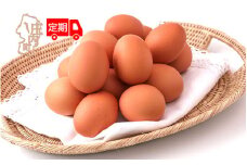 ＜11月中旬発送＞スズキのたまご 6か月定期便！ 地養卵30個（入金期限：2025.10.25）