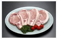 ブランド豚「庄内三元豚」 厚切りステーキ肉（200g×4枚）