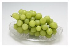 【10月より順次発送】庄内町産 シャインマスカット 約700g×1房（入金期限：2025.9.20）