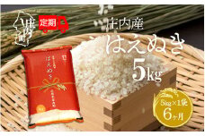 ＜11月中旬発送＞庄内米6か月定期便！はえぬき 5kg（入金期限：2025.10.25）
