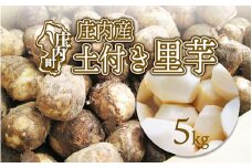 【11月中旬より順次発送】庄内産土付き里芋 5kg（入金期限：2025.12.10）
