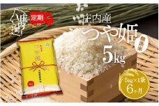 ＜11月下旬発送＞庄内米6か月定期便！つや姫無洗米 5kg（入金期限：2025.10.25）