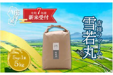 【新米受付 10月発送】R7年産 吉祥ファーム 雪若丸 5kg（入金期限：2025.9.15）