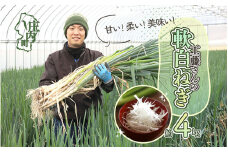 【11月より順次発送】庄内町産 工藤さんの軟白ねぎ Lサイズ30本 約4kg（入金期限：2026.2.20）