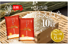 ＜11月中旬発送＞庄内米6か月定期便！はえぬき 10kg（入金期限：2025.10.25）
