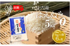 ＜11月中旬発送＞庄内米6か月定期便！はえぬき無洗米 5kg（入金期限：2025.10.25）