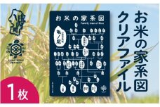 山形庄内かめこめプロジェクト お米の家系図 クリアファイル A4 1枚 オリジナル グッズ 文房具