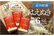 庄内町産 はえぬき 6kg 2kg×3袋 令和7年産 2025年産 ブランド米 コシヒカリの原点、亀の尾発祥の地 庄内